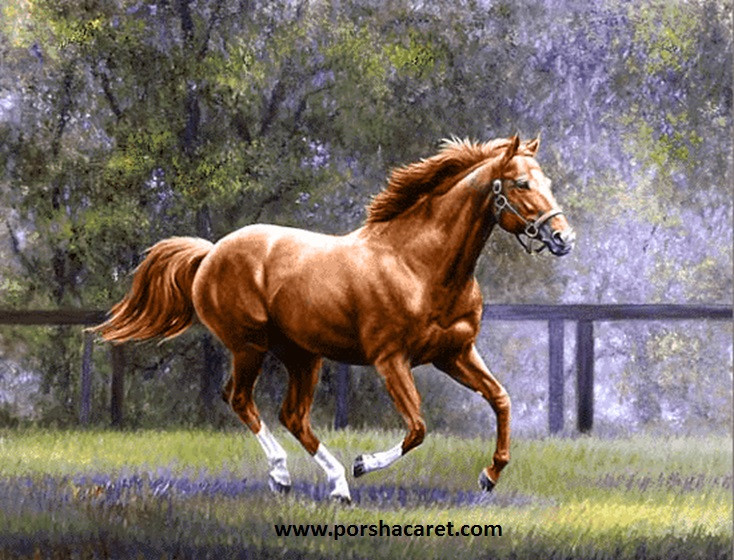 نخ ونقشه تابلوفرش طرح حیوانات کد1727
