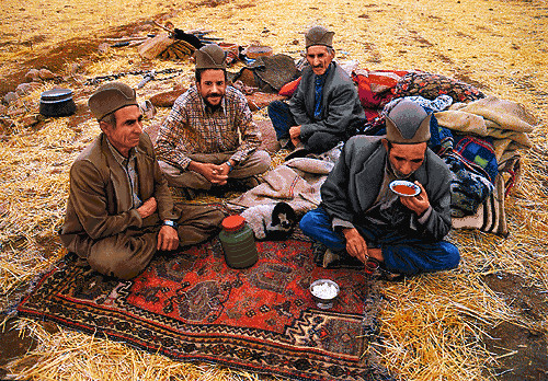 نخ ونقشه تابلوفرش طرح فرانسوی کد1 (107)
