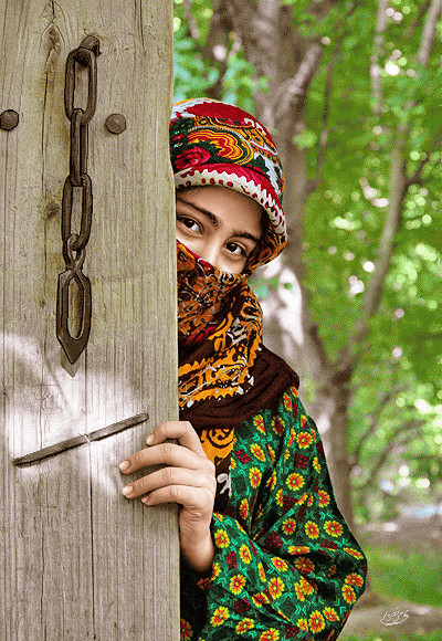 نخ ونقشه تابلوفرش طرح فرانسوی کد1 (1717)