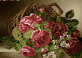 نخ ونقشه دارچوبک رز صورتی